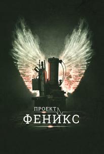 Проект Феникс