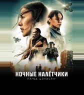 Ночные налётчики