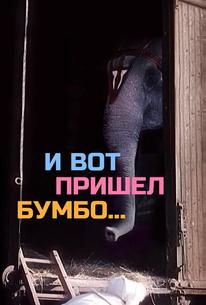 И вот пришел Бумбо...