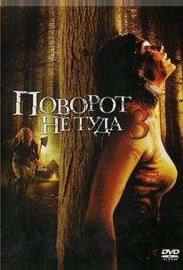 Поворот не туда 3