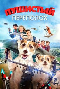 Пушистый переполох