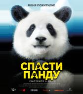 Спасти панду