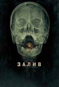 Залив
