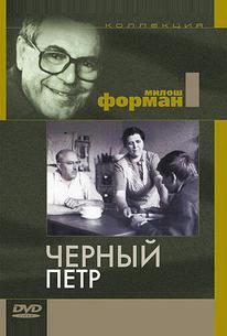 Черный Петр