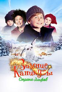 Зимние каникулы: Страна эльфов