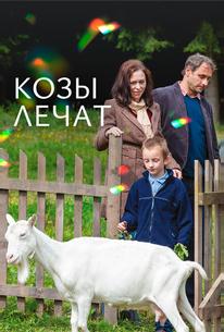 Козы лечат