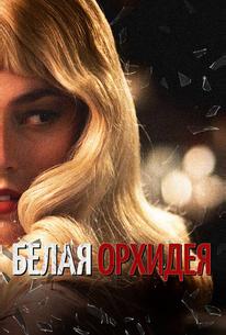 Белая орхидея