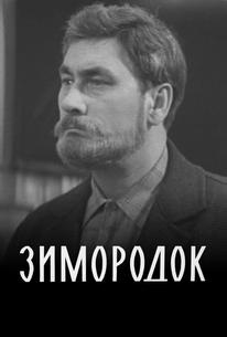 Зимородок