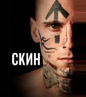 Скин