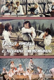 Белая птица с черной отметиной