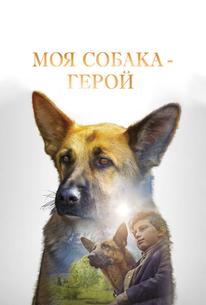 Моя собака — герой