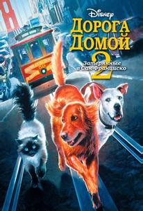 Дорога домой 2: Затерянные в Сан-Франциско