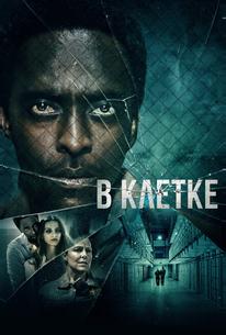 В клетке