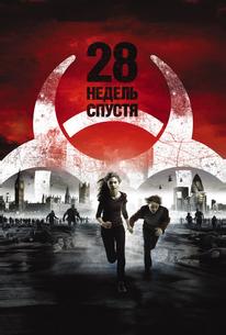 28 недель спустя