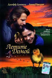 Летите домой