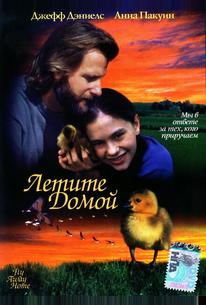 Летите домой