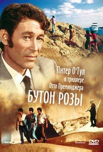 Бутон розы