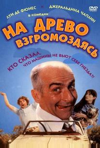 На древо взгромоздясь