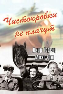 Чистокровки не плачут