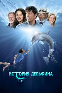 История дельфина