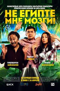 Не египте мне мозги!