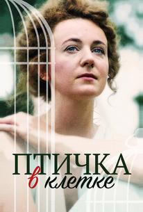 Птичка в клетке