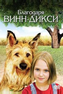Благодаря Винн Дикси
