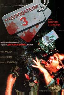 Наблюдатели 3