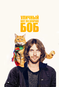 Уличный кот по кличке Боб