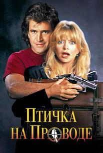 Птичка на проводе
