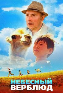 Небесный верблюд