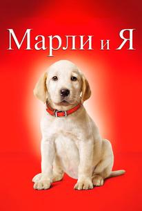 Марли и я